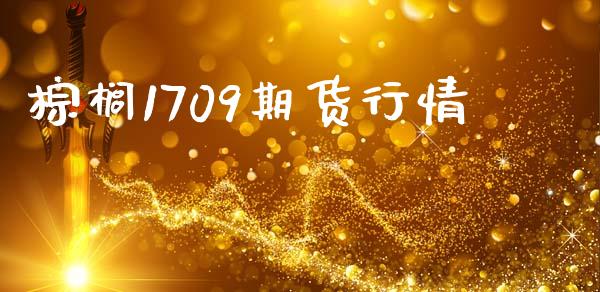 棕榈1709期货行情_https://www.ltsssb.com_国际财经_第1张