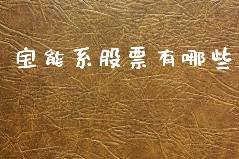 宝能系股票有哪些_https://www.ltsssb.com_基金频道_第1张