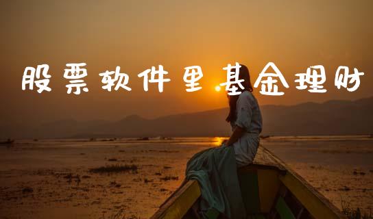 股票软件里基金理财_https://www.ltsssb.com_基金频道_第1张
