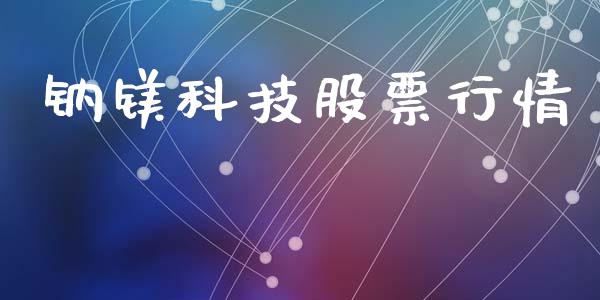 钠镁科技股票行情_https://www.ltsssb.com_股市分析_第1张