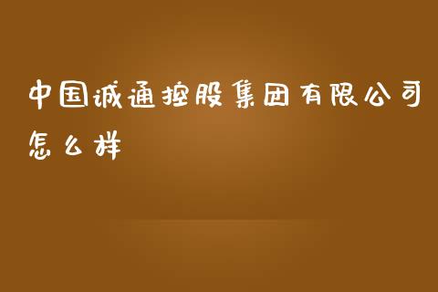 中国诚通控股集团有限公司怎么样_https://www.ltsssb.com_基金频道_第1张