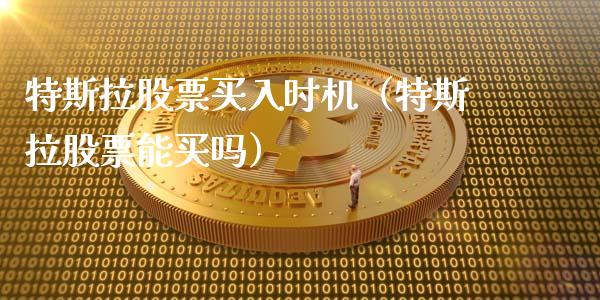 特斯拉股票买入时机（特斯拉股票能买吗）_https://www.ltsssb.com_新股数据_第1张