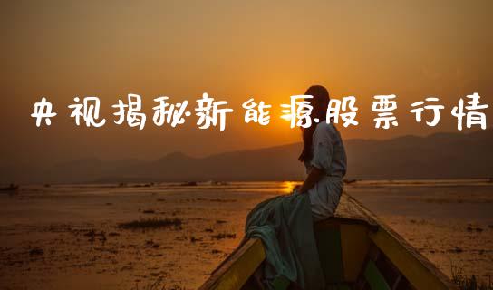 央视揭秘新能源股票行情_https://www.ltsssb.com_股市分析_第1张