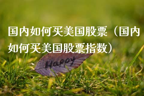 国内如何买美国股票（国内如何买美国股票指数）_https://www.ltsssb.com_股市分析_第1张