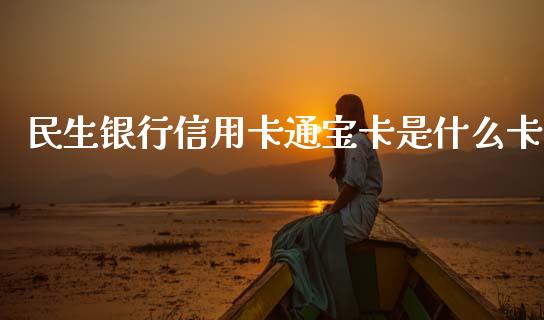 民生银行信用卡通宝卡是什么卡_https://www.ltsssb.com_股票理论_第1张