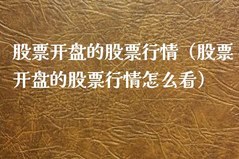 股票开盘的股票行情（股票开盘的股票行情怎么看）_https://www.ltsssb.com_新股数据_第1张