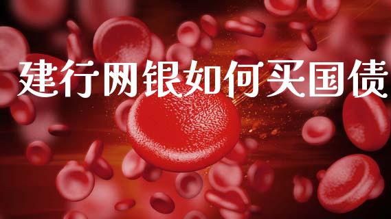 建行网银如何买国债_https://www.ltsssb.com_新股数据_第1张