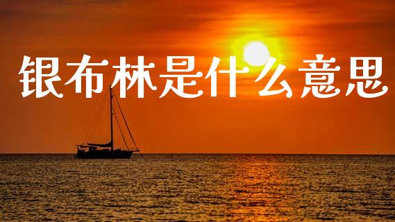 银布林是什么意思_https://www.ltsssb.com_期货行情_第1张