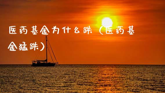 医药基金为什么跌（医药基金猛跌）_https://www.ltsssb.com_基金频道_第1张