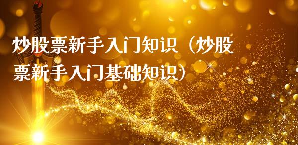 炒股票新手入门知识（炒股票新手入门基础知识）_https://www.ltsssb.com_新股数据_第1张