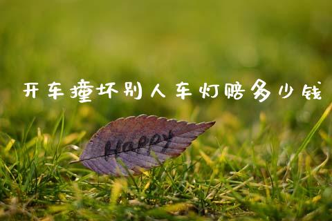 开车撞坏别人车灯赔多少钱_https://www.ltsssb.com_国际财经_第1张