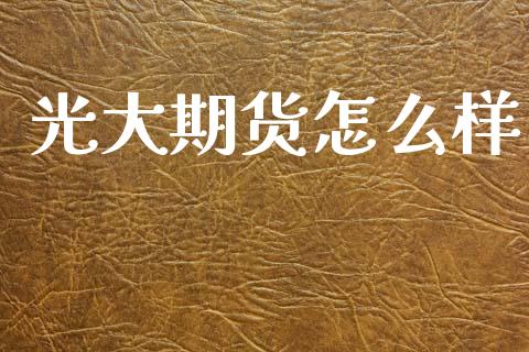 光大期货怎么样_https://www.ltsssb.com_新股数据_第1张