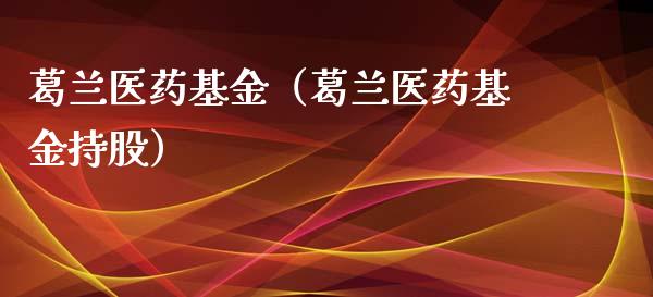 葛兰医药基金（葛兰医药基金持股）_https://www.ltsssb.com_基金频道_第1张