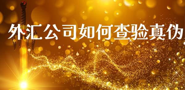外汇公司如何查验真伪_https://www.ltsssb.com_期货密码_第1张