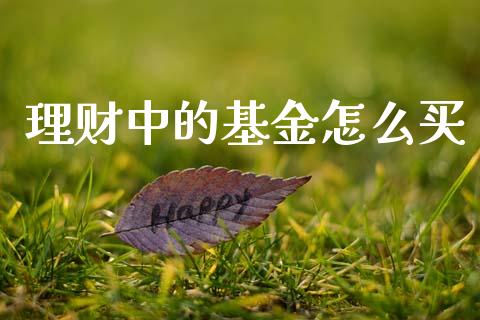 理财中的基金怎么买_https://www.ltsssb.com_基金频道_第1张
