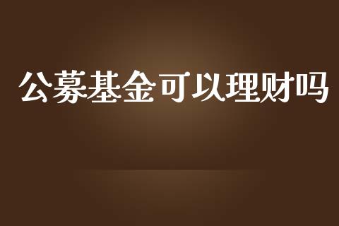 公募基金可以理财吗_https://www.ltsssb.com_基金频道_第1张