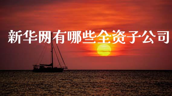 新华网有哪些全资子公司_https://www.ltsssb.com_国际财经_第1张