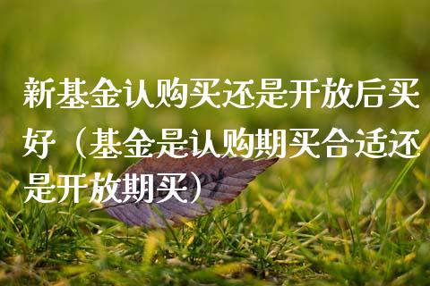 新基金认购买还是开放后买好（基金是认购期买合适还是开放期买）_https://www.ltsssb.com_国际财经_第1张