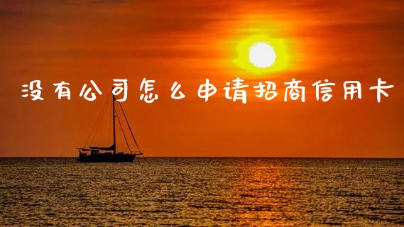 没有公司怎么申请招商信用卡_https://www.ltsssb.com_新股数据_第1张