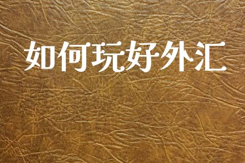 如何玩好外汇_https://www.ltsssb.com_国际财经_第1张