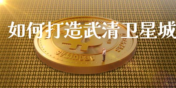 如何打造武清卫星城_https://www.ltsssb.com_新股数据_第1张