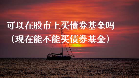 可以在股市上买债券基金吗（现在能不能买债券基金）_https://www.ltsssb.com_基金频道_第1张