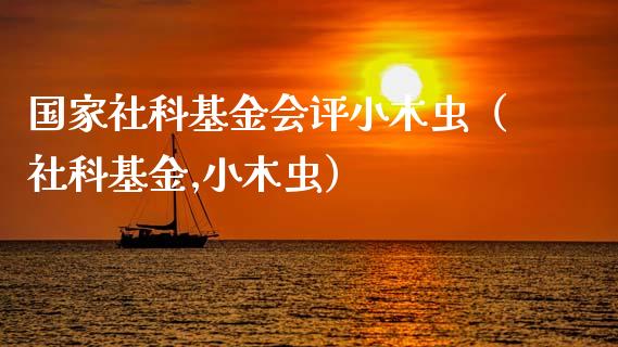 国家社科基金会评小木虫（社科基金,小木虫）_https://www.ltsssb.com_基金频道_第1张