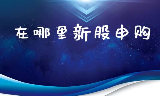 在哪里新股申购_https://www.ltsssb.com_国际财经_第1张