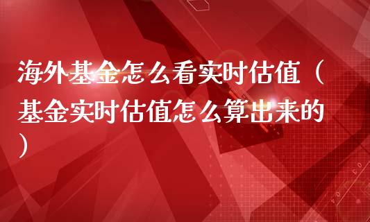 海外基金怎么看实时估值（基金实时估值怎么算出来的）_https://www.ltsssb.com_国际财经_第1张