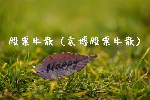股票牛散（袁博股票牛散）_https://www.ltsssb.com_股票理论_第1张