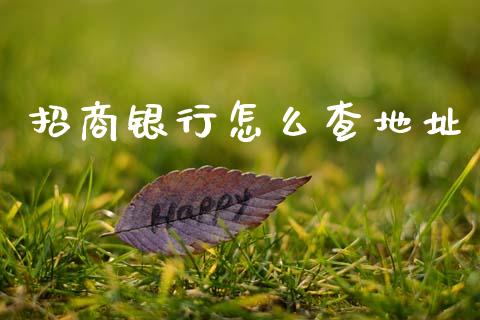 招商银行怎么查地址_https://www.ltsssb.com_股票理论_第1张