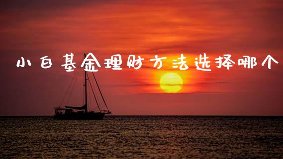 小白基金理财方法选择哪个_https://www.ltsssb.com_基金频道_第1张