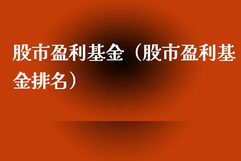 股市盈利基金（股市盈利基金排名）_https://www.ltsssb.com_国际财经_第1张