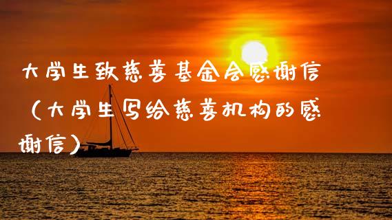 大学生致慈善基金会感谢信（大学生写给慈善机构的感谢信）_https://www.ltsssb.com_基金频道_第1张