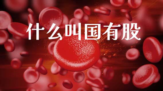 什么叫国有股_https://www.ltsssb.com_基金频道_第1张