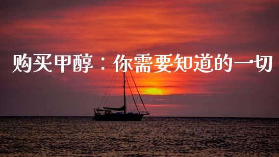 购买甲醇：你需要知道的一切_https://www.ltsssb.com_期货在线_第1张