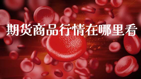 期货商品行情在哪里看_https://www.ltsssb.com_期货密码_第1张