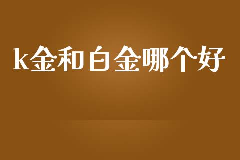 k金和白金哪个好_https://www.ltsssb.com_基金频道_第1张