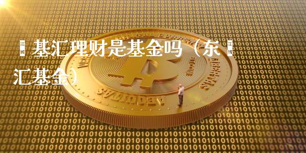 鑫基汇理财是基金吗（东鑫汇基金）_https://www.ltsssb.com_基金频道_第1张