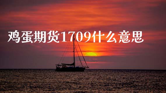 鸡蛋期货1709什么意思_https://www.ltsssb.com_基金频道_第1张