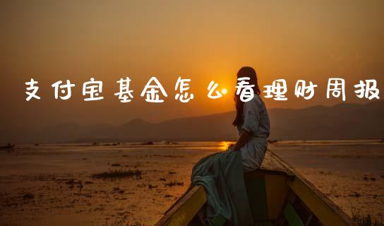 支付宝基金怎么看理财周报_https://www.ltsssb.com_基金频道_第1张