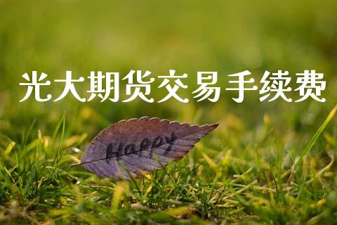 光大期货交易手续费_https://www.ltsssb.com_国际财经_第1张