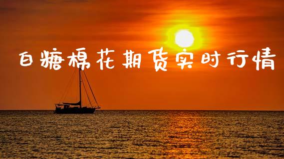 白糖棉花期货实时行情_https://www.ltsssb.com_期货密码_第1张