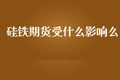 硅铁期货受什么影响么_https://www.ltsssb.com_国际财经_第1张