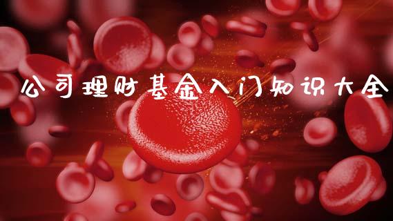 公司理财基金入门知识大全_https://www.ltsssb.com_基金频道_第1张