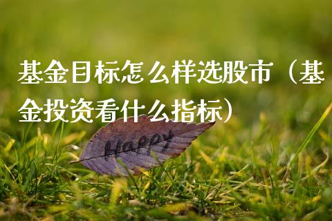 基金目标怎么样选股市（基金投资看什么指标）_https://www.ltsssb.com_基金频道_第1张