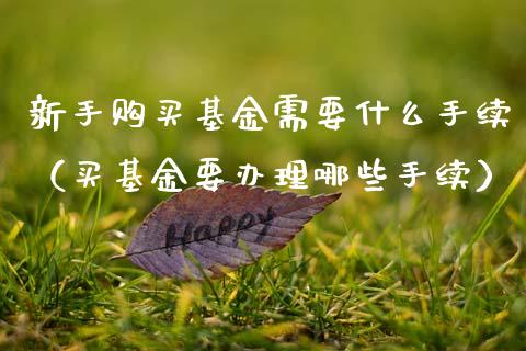 新手购买基金需要什么手续（买基金要办理哪些手续）_https://www.ltsssb.com_基金频道_第1张