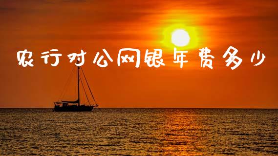 农行对公网银年费多少_https://www.ltsssb.com_期货在线_第1张