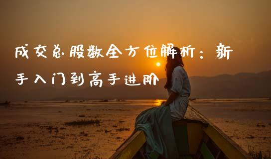 成交总股数全方位解析：新手入门到高手进阶_https://www.ltsssb.com_新股数据_第1张