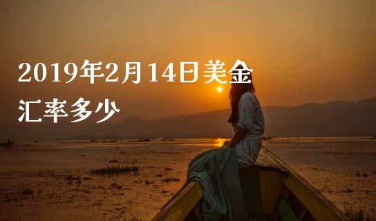 2019年2月14日美金汇率多少_https://www.ltsssb.com_基金频道_第1张